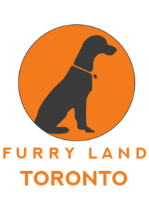 Furry Land Toronto